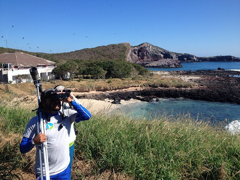 Observación de Aves