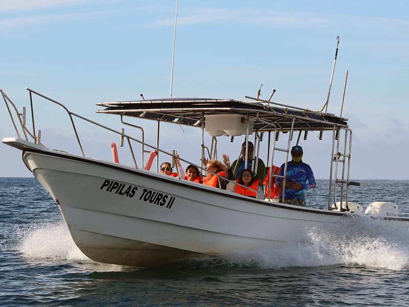 Tour por la Bahía de Matanchen