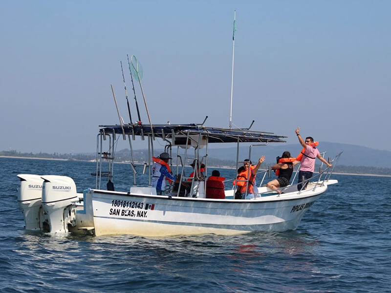 Observación de Ballenas